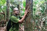 Q&A: How to halt further biodiversity loss in Malaysia