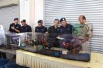 30 arrested during anti-wildlife trafficking operations around Endau-Rompin Johor National Park